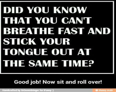 10452348_532717236855872_8261074075276265523_n