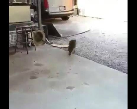 Screenshot_071514_011257_PM