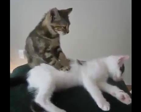 Screenshot_071514_120419_PM