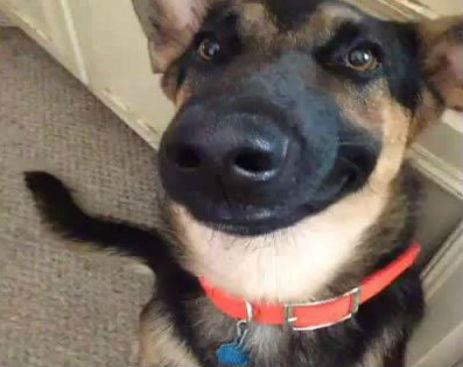 Screenshot_073014_062625_PM