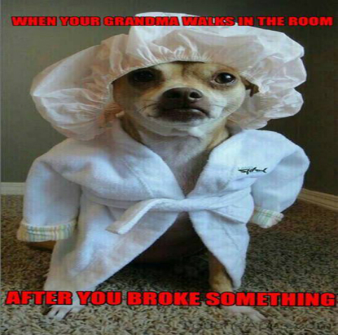 troubledog