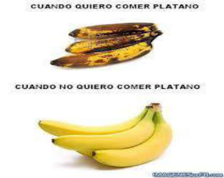 10342423_540597932734469_6540219120996531471_n