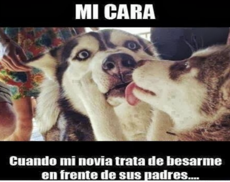 10405440_545398075587788_3151500185009543304_n