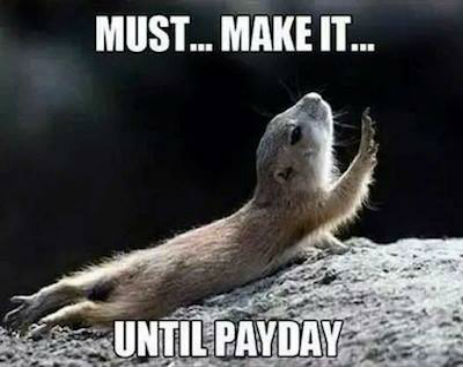 10409285_539255292868733_5242462818730037333_n