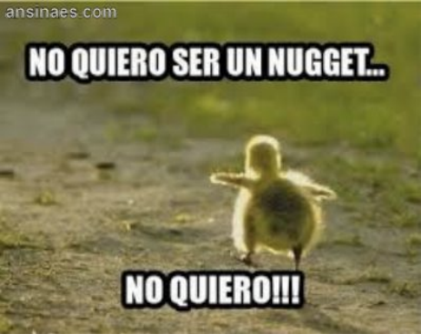 10411886_10153174911524815_294115825579871735_n