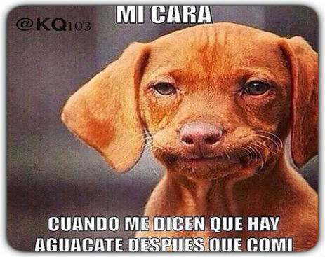 10414890_10153134839689815_1416617369823983911_n