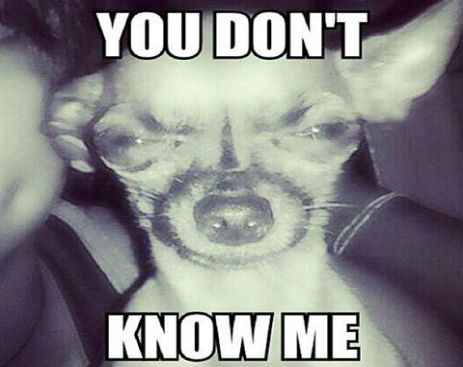 10461470_10152568657511649_8788097582561202382_n