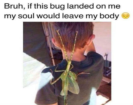 10494670_536611783133084_3682325422152761783_n