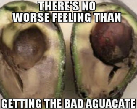 10544330_542888292505433_921275732783766802_n