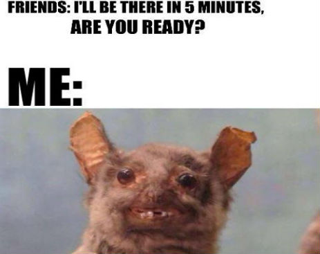 10553352_539255826202013_4506338620634027785_n