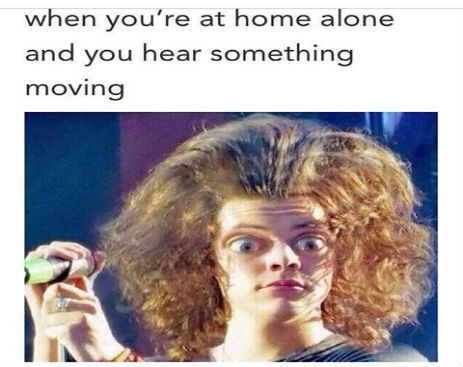 10561578_539745896153006_3583026897570684458_n