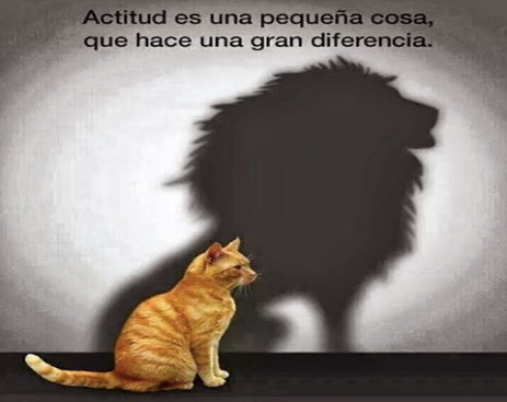 10565127_10153152706369815_2277089965460803361_n