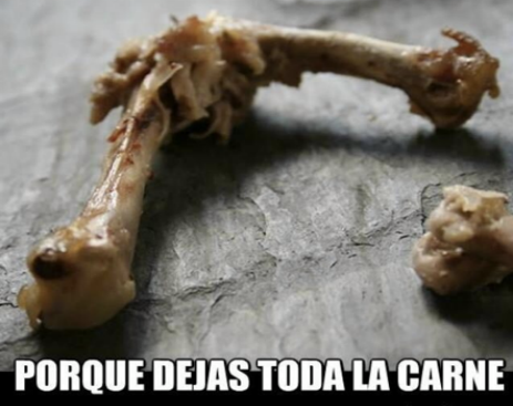 10609414_10153171605059815_8015622185090569629_n