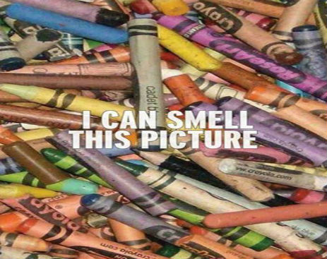 10609658_541098499351079_2954105020012907569_n