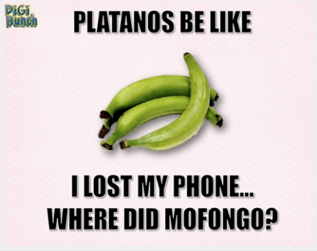 10622947_543726725754923_6469697769781734545_n