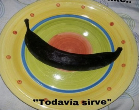 10641122_10153155911279815_485703300274599443_n