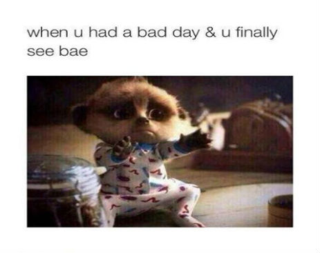 1932494_540306242763638_4410900242453960327_n