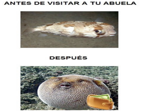 1939965_545397995587796_590974703983872502_n