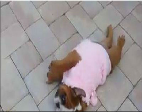 Screenshot_080114_101512_AM