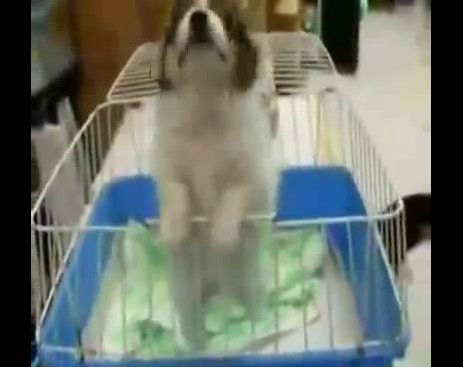 Screenshot_081314_031607_PM