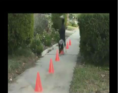 Screenshot_081314_094109_AM