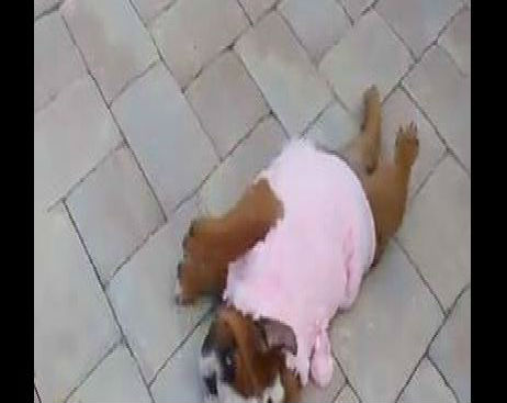 Screenshot_081414_042021_PM