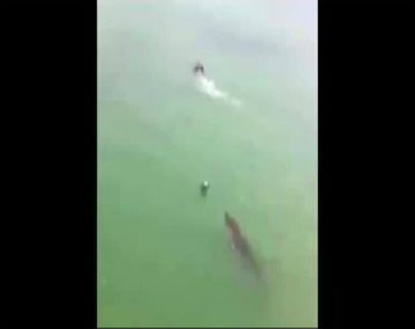 Screenshot_081914_042744_PM