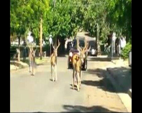 Screenshot_081914_110726_AM