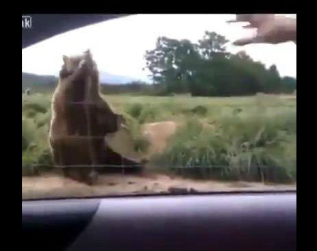 Screenshot_081914_111026_AM