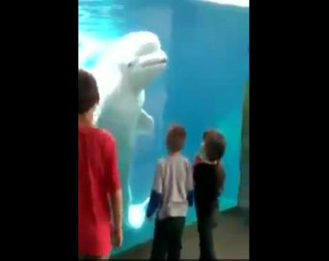 Screenshot_082614_095323_AM