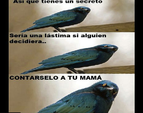 Screenshot_082714_025007_PM