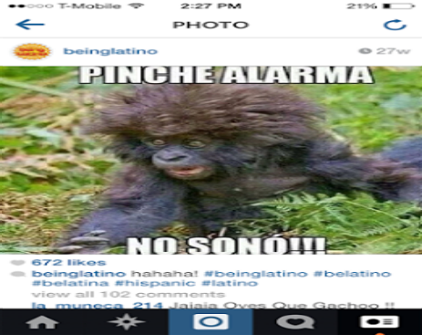 10411311_563726890421573_5065773108418327803_n