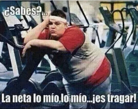 10419543_557540917706837_4562317642767485601_n