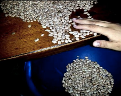 10449170_548967428564186_2853139156359759860_n