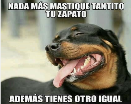 10553319_557539951040267_8907234120022109443_n