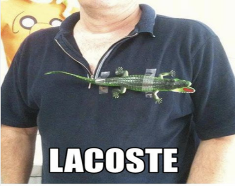 10615963_557534011040861_5099304673202031469_n