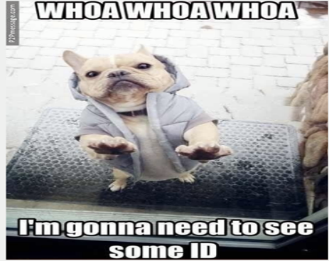 10616049_555713614556234_7635331929234023712_n