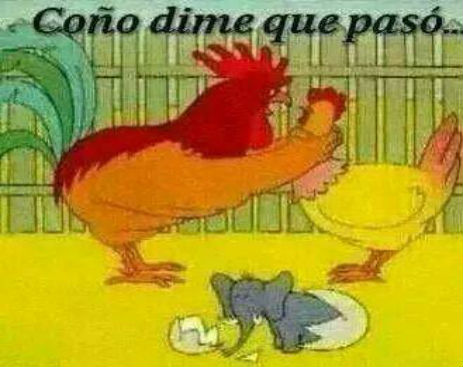 10626605_558138027647126_8530783287251886659_n