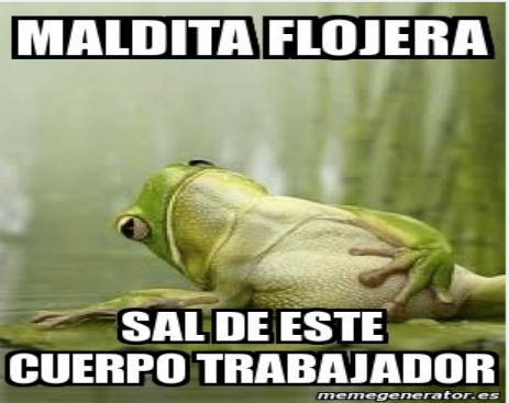 10649826_547352325392363_5690783751027888255_n