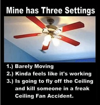 10665223_557532784374317_4902248241318561710_n (1)