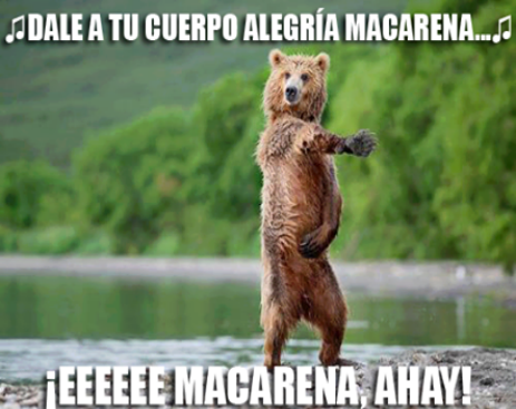 10687145_558137080980554_6835004433912531387_n