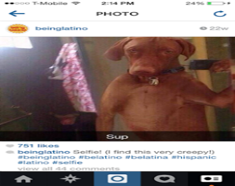 1378101_10153252147754815_8370058332939330046_n