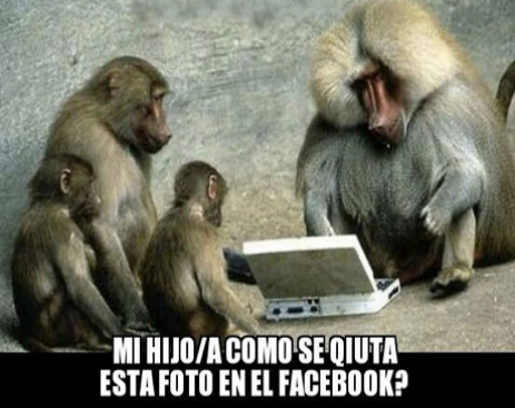 1604878_10153196434644815_8732295879912027075_n