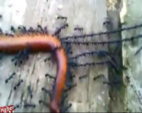 Screenshot_091914_091320_AM