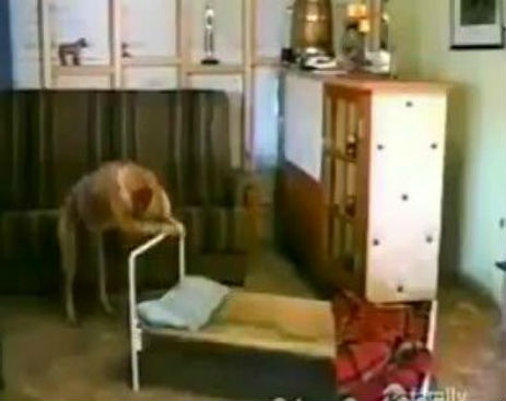 Screenshot_092914_104751_AM