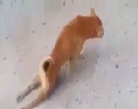 Screenshot_093014_091425_AM