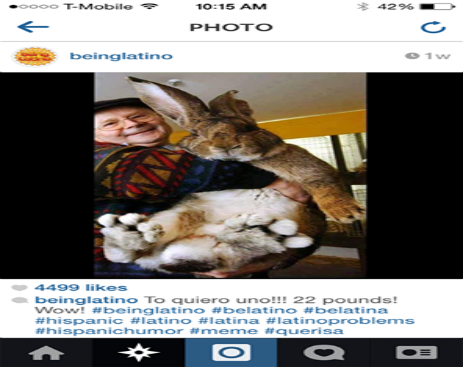 10351586_571909996269929_2664883775915175371_n