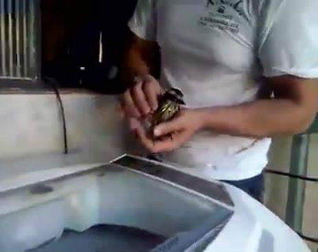 10442605_568228746638054_568228443304751_58901_1232_b