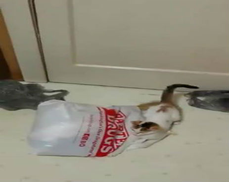 10442635_10153350030249815_10153350029014815_50806_1624_b