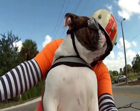 10490704_732270393515486_732270106848848_35886_2584_b